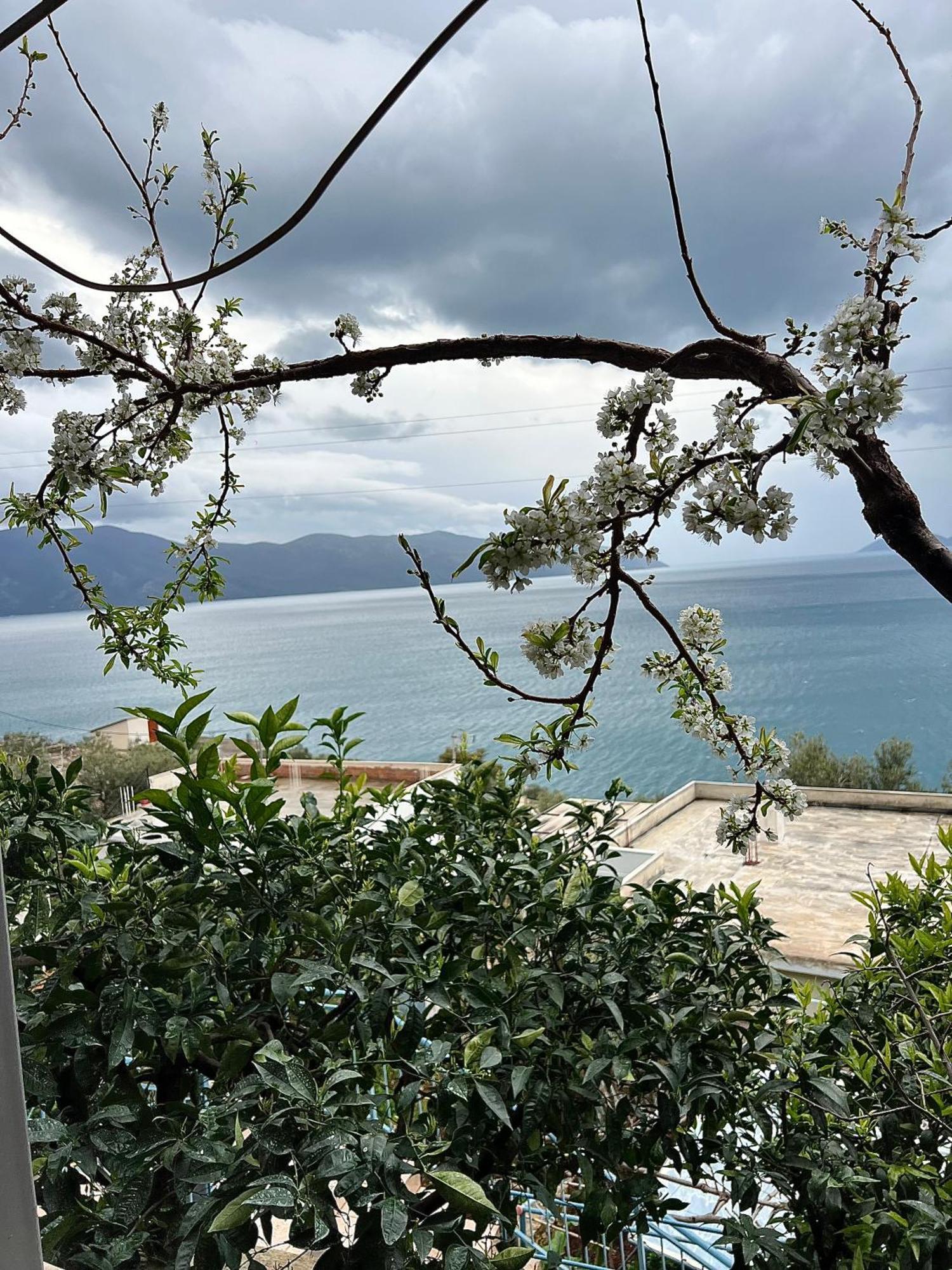 Marisi House Apartman Vlora Kültér fotó